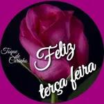 BORA TRABALHAR