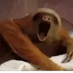 Um pequeno sorriso todos os dias