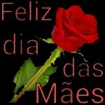 Dia das mães