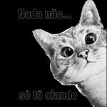 Fala que
eu
te escuto!

