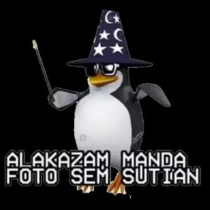 iwl5zc4
