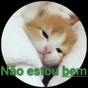 xafns3