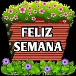 semana