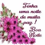 Boa noite 