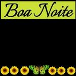 Boa noite 