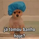 vou