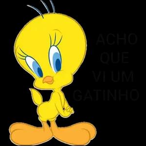 ACHO QUE VI UM GATINHO  - getsticker.com