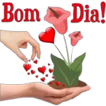 Tenham uma óptima tarde.
