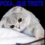 TÁ BOM