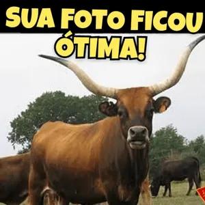 1trtv5