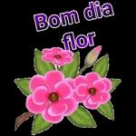 Bom dia
