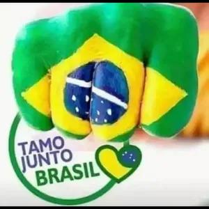 TAMO JUNTO BRASIL  - getsticker.com