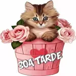 Olá. Espero que estejas bem.