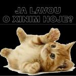 sexsexsexs