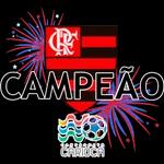 Flamengo Campeão 🏆