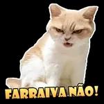 jkkkkoo
