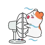 A felicidade derrama-se como chuva 🌧️🌈