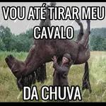 Ad eu tiro
meo
chapéu
