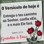 versículos 