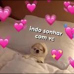pacote de figurinhas