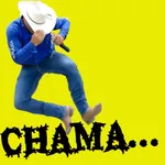 FLAMENGUISTA