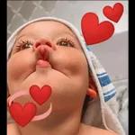 amo amo