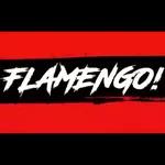 Flamengo Gol
