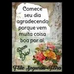 segunda feira 