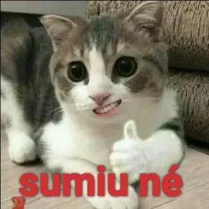 vHcDJH
