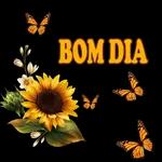 Bom dia 