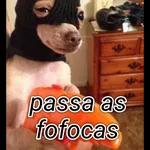 fofocas