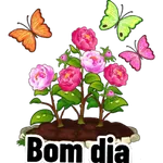 Boa у Tarde