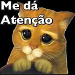 bom dia 🌞