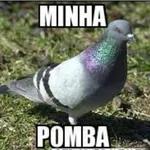 free Fire