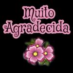 risadas 