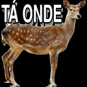 ZDRZMQ