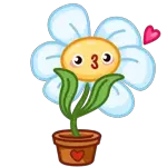 Um bolso cheio de alegria