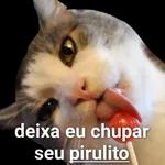 gostoso 