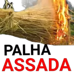 Adoro dizer bom dia para você🐰🐰