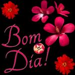 Que Lindo!!