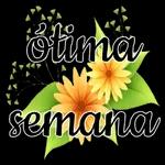 SEGUNDA FEIRA