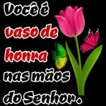 minHAVO JÁDIZIA... meu Fl... TUVAIVER COISA! 