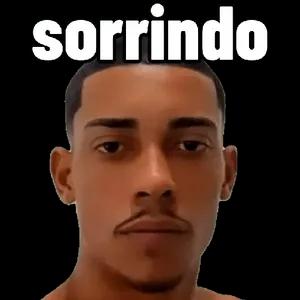 sorrindo  - getsticker.com