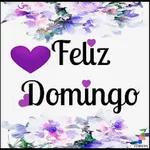 Feliz domingo