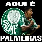 ACIONA A DOSE!