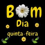 quinta-feira