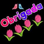 obgd