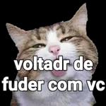 safadeza 