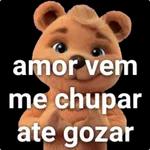 ursinho