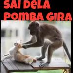 bir